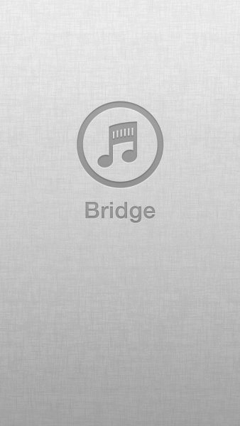 Bridge для iPhone