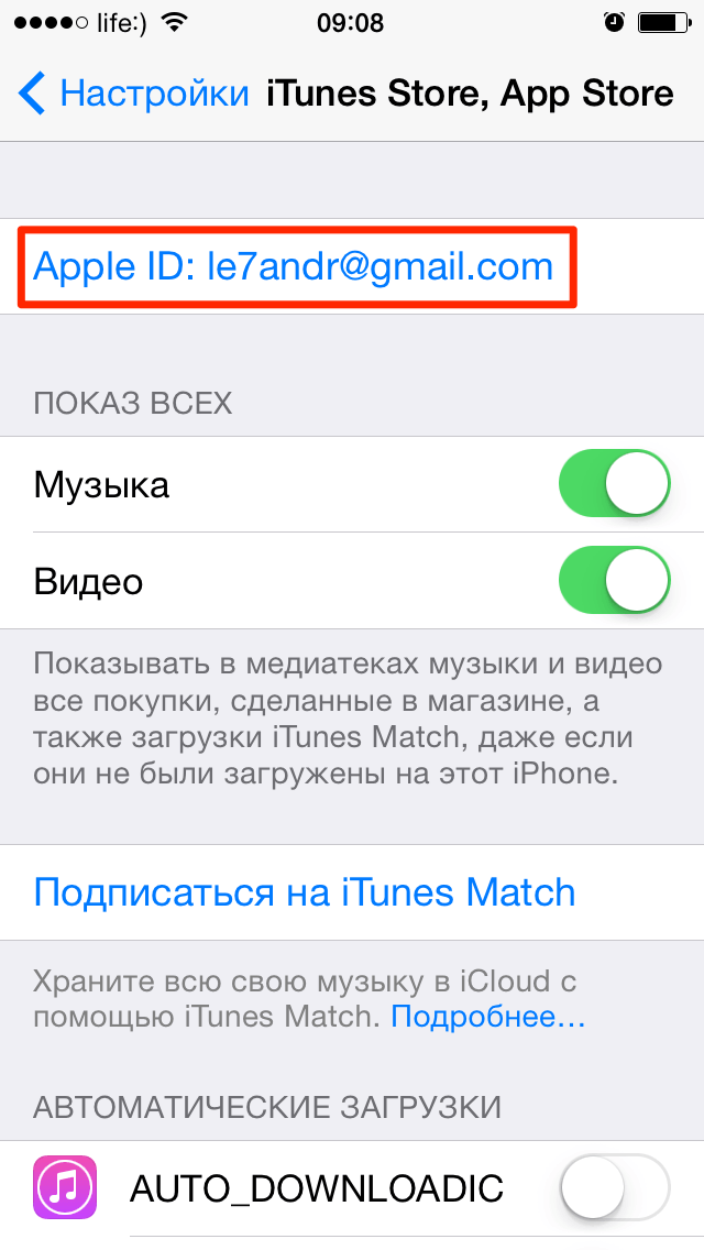 Меню iTunes Store, App Store в настройках iPhone