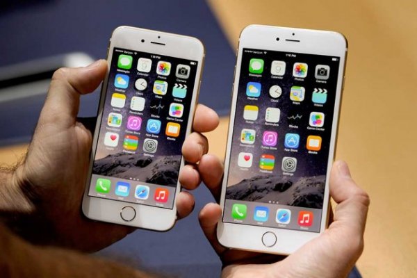 Продажи iPhone 6 и iPhone 6 Plus: 6 к 1